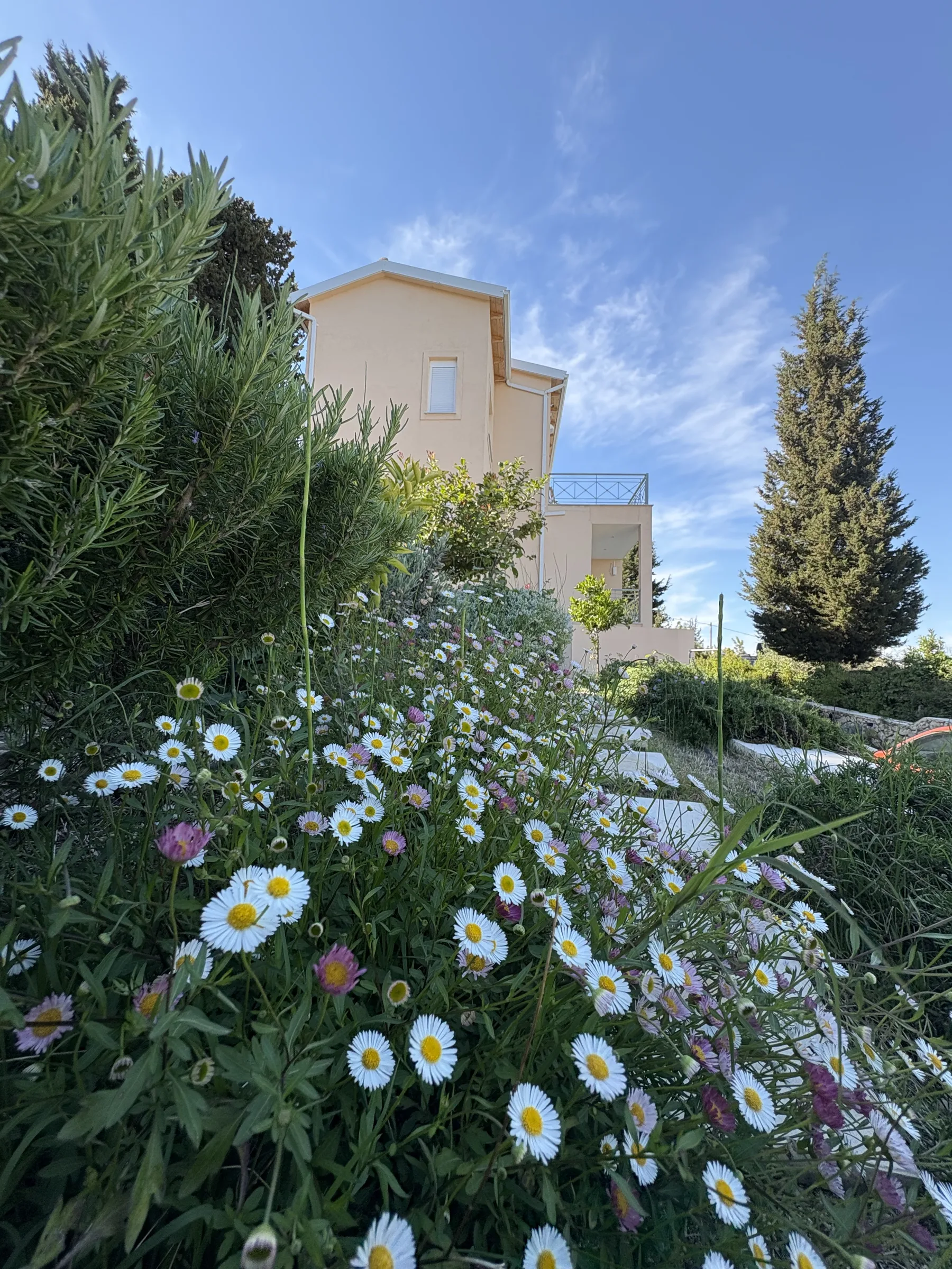 Λουλούδια στον κήπο κάτω από τη Gerakofolia Villa